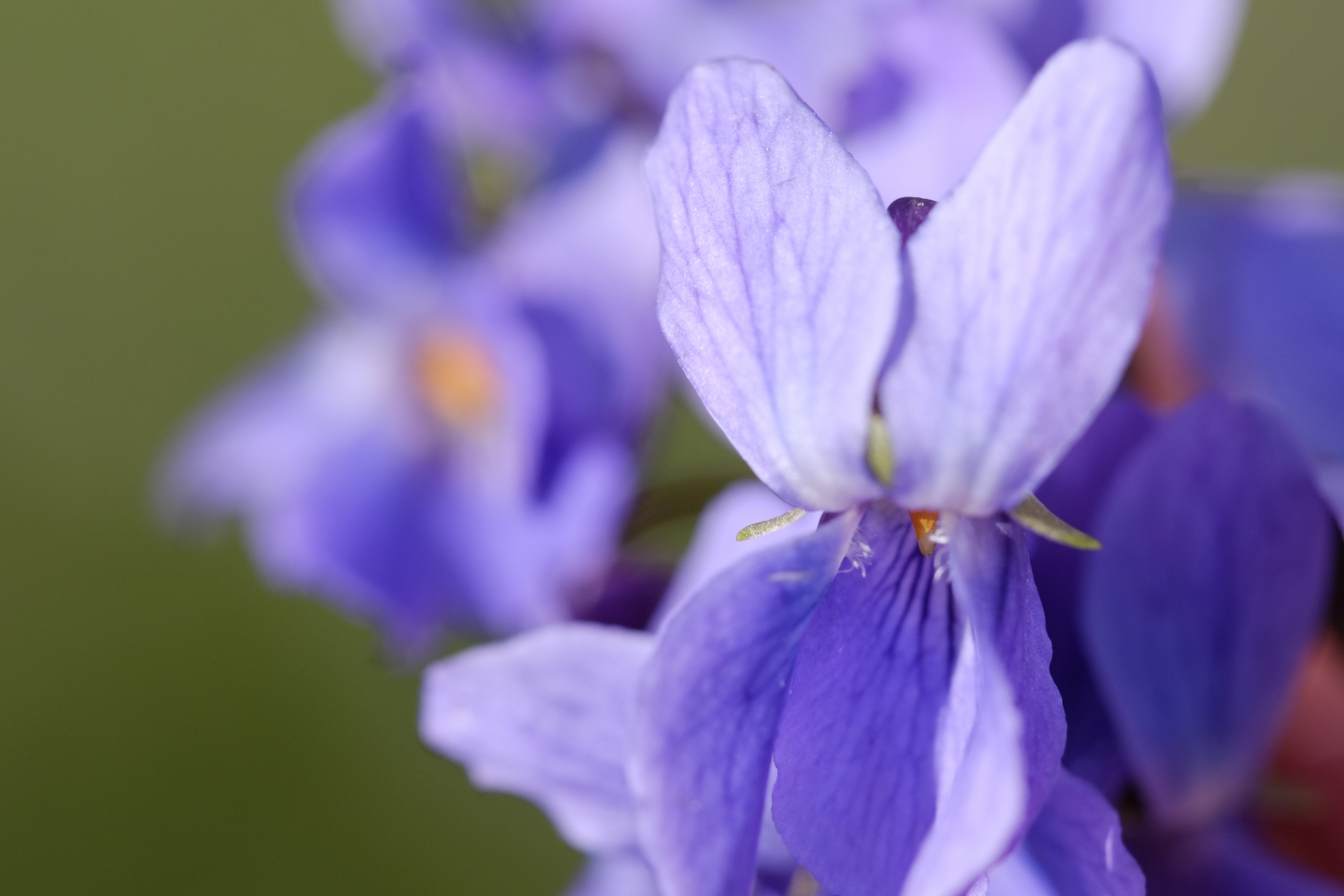 直観と直感の感覚には、大きな違いがあります